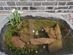 -长春观