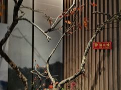 -京华烟云·北京烤鸭(领展购物广场·中关村店)