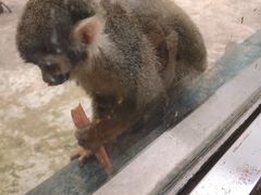 -秦皇岛野生动物园