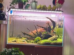 -福源药膳鸡(天润城店)