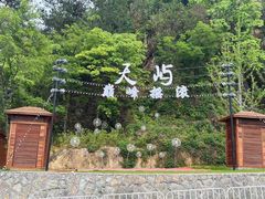-千岛湖天屿景区