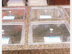 -正兴德(和平路店)