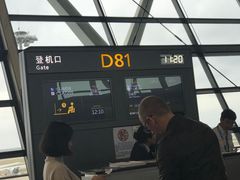-上海浦东国际机场-T2航站楼