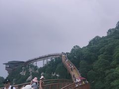 -少华山国家森林公园