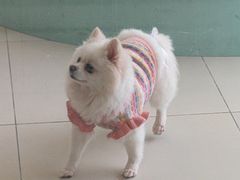 -怪兽屋·羊驼·猫咖·狗咖(俊华广场店)