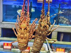 -东江海鲜大排档·潮汕菜·砂锅粥