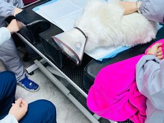 -贝康宠物医院·犬猫全科·小动物特色诊疗中心(东环路店)