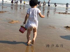 -日照海滨国家森林公园