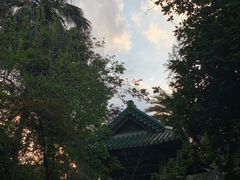 -广州兰圃