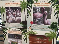 -九龙公园
