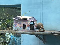 -青藏高原野生动物园