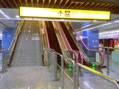 -大龙山(地铁站)