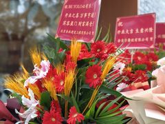 -BE YOLO必有乐&小红帽三明治