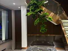 -正清和·推拿养生(二七广场店)