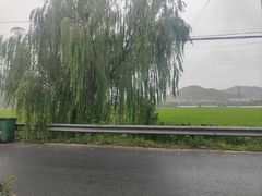 -李东农庄(中南百草园地标店)