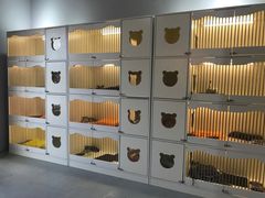 -喵zoo家庭繁育猫舍(尖东智能花园店)