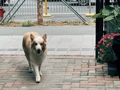 -豆舞咖啡(民乐路店)