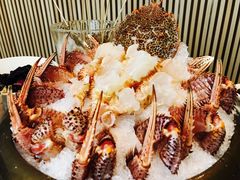 -虾佬圣汤