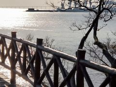 -平湖九龙山旅游度假区
