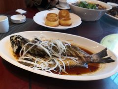 -胖大姐黄辣丁鱼庄(新津店)