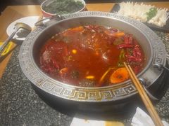 -杨肥肠火锅大排档(火车站花园店)