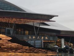 -合肥大剧院