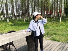 -田园东方蜜桃村的田野营地