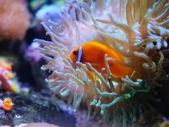 -成都浩海立方海洋公园