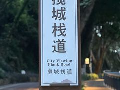 -金鸡山公园