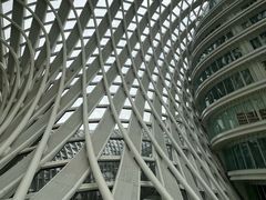 -凤凰中心