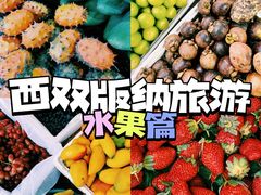 -西双版纳傣族园