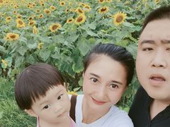 -武汉紫薇都市田园