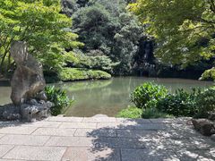 -龙井村