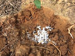 -彩虹桥宠物火化殡葬善终服务(金乐大厦店)