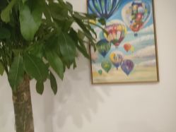 -丰联丽格医疗美容·联合丽格眼整形中心