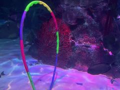 -沈阳海洋探索中心