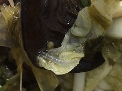 -老粉作坊(欢乐谷店)