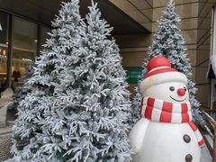 -巴黎春天(浦建店)