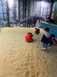 -恐龙探索乐园(磁器口店)