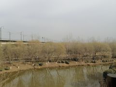 -西安浐灞国家湿地公园