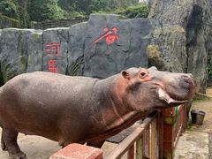 -贵州森林野生动物园