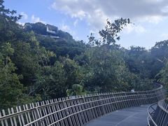 -福道