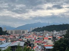 -洱海月湿地公园