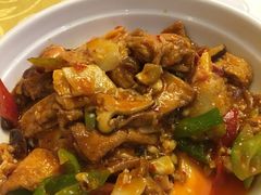 -丁老爷子苏香圆