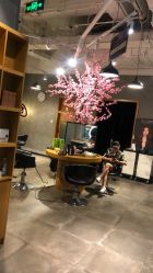 点击看大图 -时尚殿堂明星门店