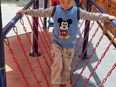 -晓港公园