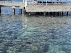 -三亚西岛海洋文化旅游区