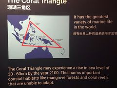 -新加坡海洋生态馆