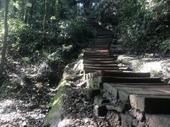 -青城山