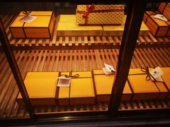 -Foresee 梵晞(北美N1店)